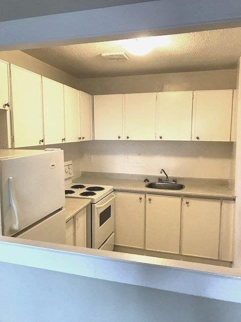 Studio Apt for October 15 starting $1299 + Hydro in Little Italy 4