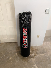 Punching Bag for sale!