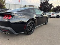 2024 Ford Mustang GT Premium One Owner | No Accidents | Premium | B&O Sound **MARKET VALUE PRICING**... (image 7)