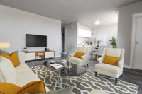 Rosemont Apartment For Rent | Grey 909