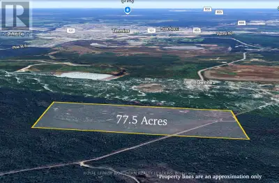 Wonderful 77.5 acres of vacant land located near Timmins. The snowmobile trail goes right through th...