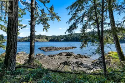 A Rare Opportunity – A forested 5-acre Oceanfront Retreat with Untouched Beauty! A family dream home...