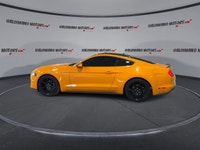 // ACCIDENT FREE!! // Turn every drive into an event in this used 2019 Ford Mustang EcoBoost Fastbac... (image 4)