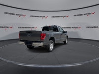 // ACCIDENT FREE!! // Built to work hard and drive with confidence, this 2023 Ford F-150 XLT Reg Cab... (image 7)