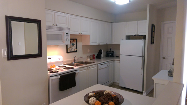 Great 2 Bedroom Apartment for Rent Minutes to Downtown Cambridge in Long Term Rentals in Cambridge