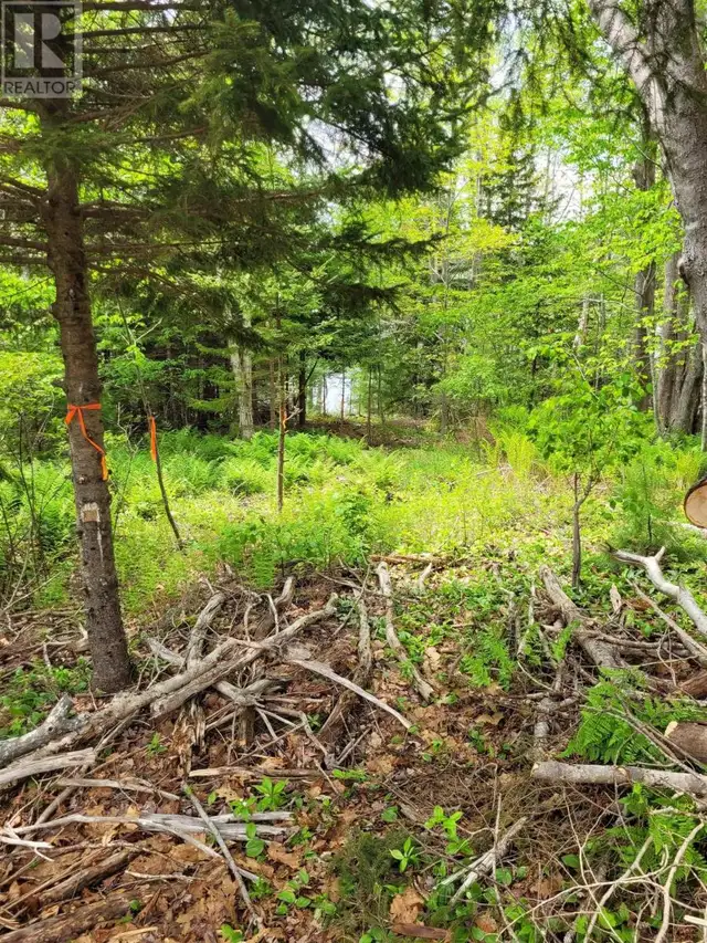 Lots Goat Lake Road East Chester, Nova Scotia62863782089091123