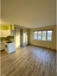 1 Bedroom Apartment in Hull - Prime location Gatineau Ottawa / Gatineau Area Preview
