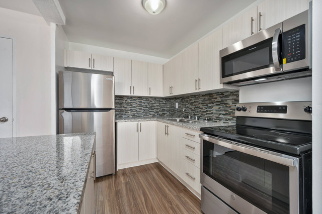 Melvin Apartments - Renovated 2 Bedroom Apartment for Rent in Long Term Rentals in Hamilton - Image 3