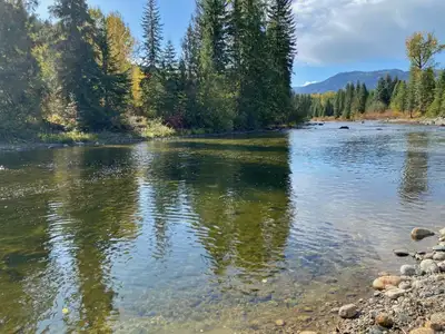 20 RIVERFRONT ACRES, TWO HOMES, SET UP FOR HORSES! 2916 BARRIERE LAKES ROAD, BARRIERE ~ $1,150,000 h...