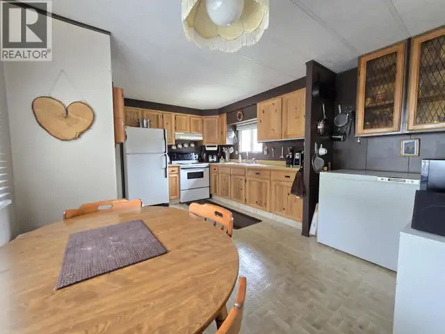 19 95 MOUNTAIN VIEW ROAD McBride, British Columbia in Houses for Sale in Quesnel - Image 5