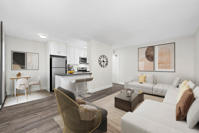 150 Darling St. - 1 Bedroom Apartment for Rent in Long Term Rentals in Brantford