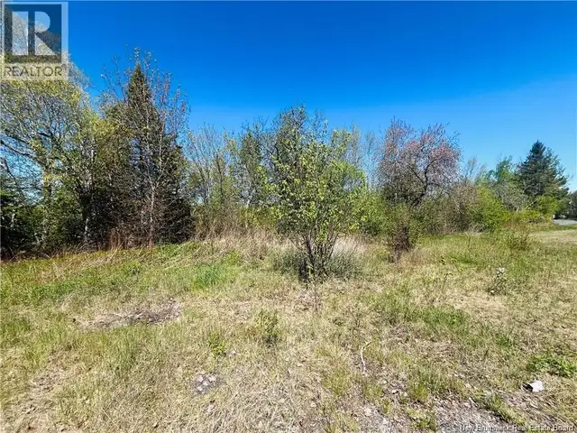 2720 Hwy 420 Matthews Settlement, New Brunswick in Land for Sale in Miramichi - Image 4