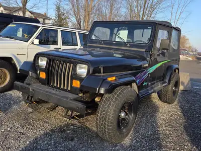Nostalgic 90's look ready to take on the snow or keep clean for the warm spring weather! 1995 Jeep W...