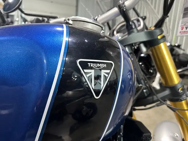 2019 Triumph Scrambler XE Cobalt Blue in Street, Cruisers & Choppers in Edmonton - Image 4