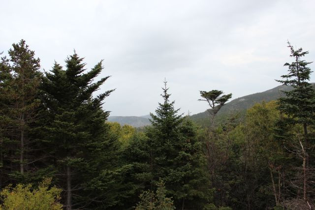 Lot #2 -Beachy Cove Brook & Hill as Your Backdrop! in Land for Sale in St. John's - Image 3
