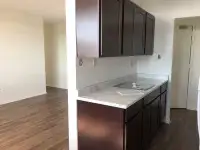 Large Renovated 2 Bedroom