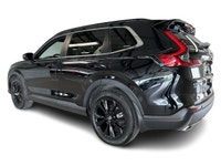 4X4, Cuir, Nav, DVD, Carplay, Wi-Fi, Bluetooth, Caméra, Phares à DEL, Jantes, Bouton de démarrage, A... (image 9)