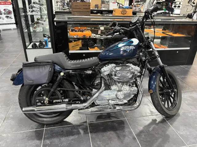 2009 Harley-Davidson Sportster 883 Low in Sport Bikes in Sudbury - Image 4