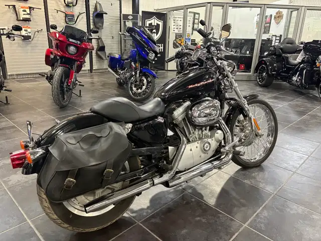 2004 Harley-Davidson Sportster 883 Custom in Sport Bikes in Sudbury - Image 6