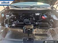 Come see this certified 2023 Honda CR-V EX-L AWD | Leather | Sunroof | Heated Wheel + Seats | Power... (image 8)