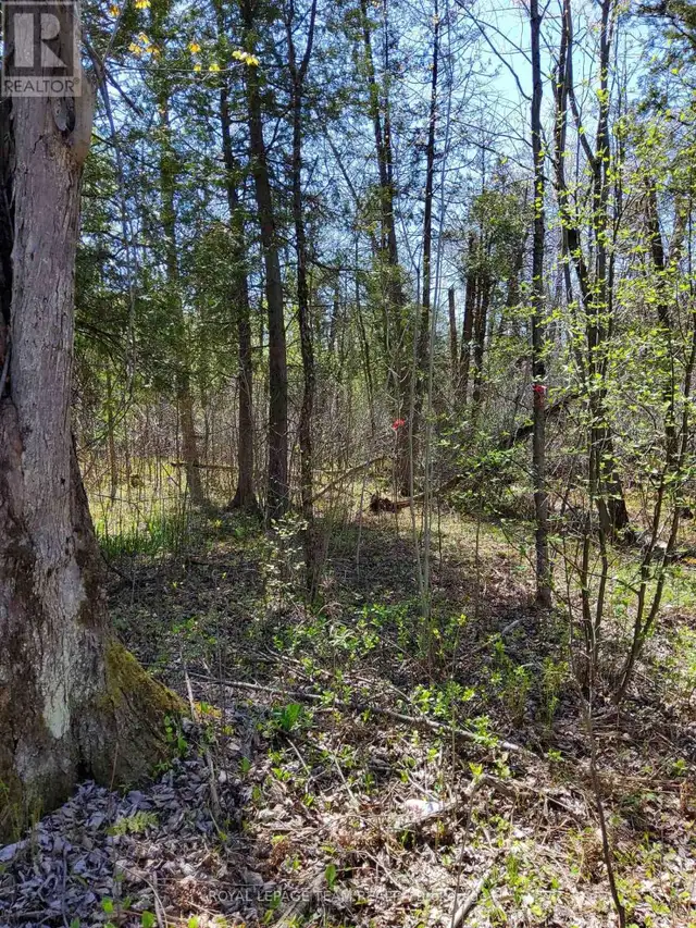 0 TOTEM RANCH ROAD Edwardsburgh/Cardinal, Ontario in Land for Sale in Woodstock - Image 9