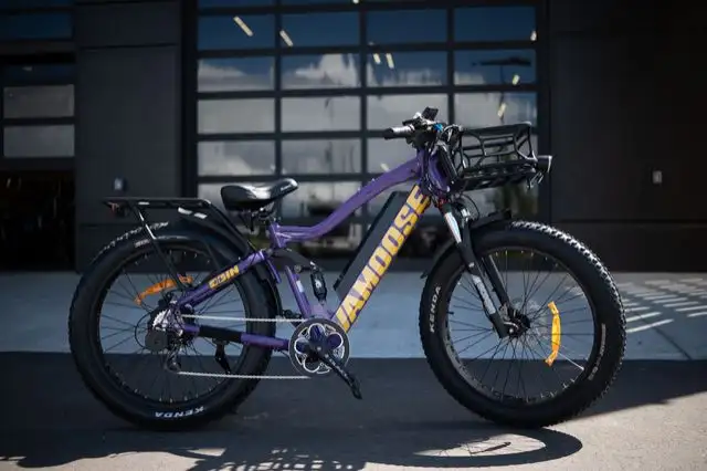 2024 Vamoose Cycle Odin 4.2 in Street, Cruisers & Choppers in Strathcona County - Image 3