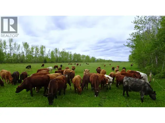 DL5277 DAY ROAD Horsefly, British Columbia in Land for Sale in Williams Lake - Image 40
