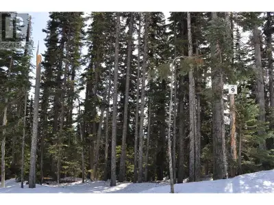 * PREC - Personal Real Estate Corporation. Live on Hudson Bay Mountain and ski to and from your door...