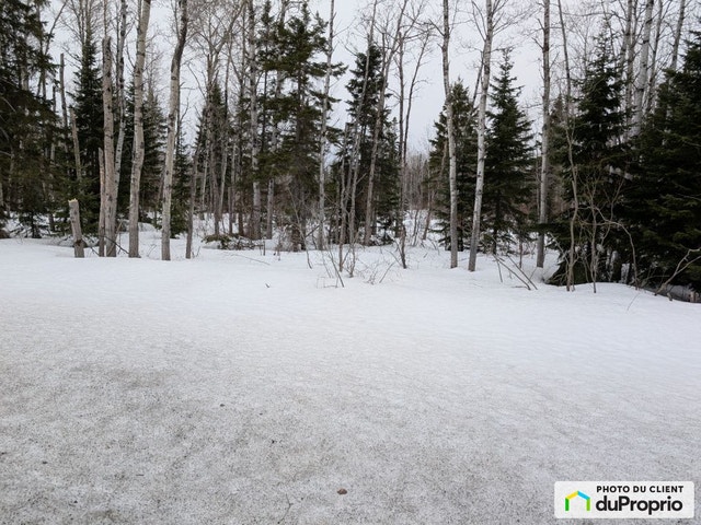 $35,000 - Residential Lot for sale in St-Jean-De-Dieu — photo 2