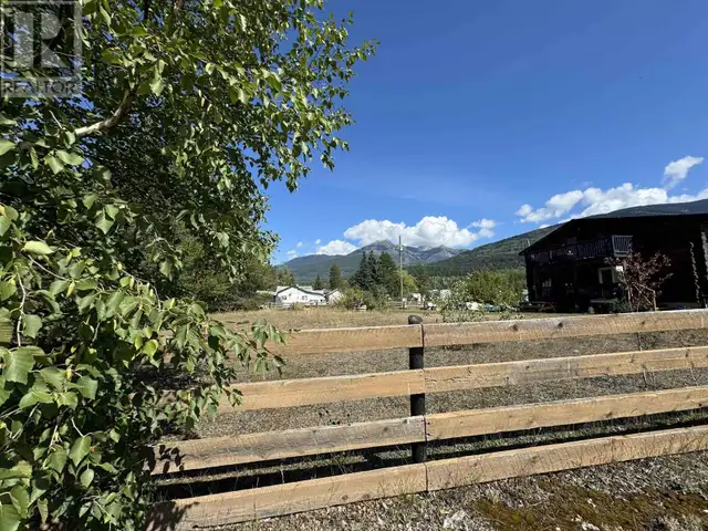 1112 7TH AVENUE Valemount, British Columbia in Land for Sale in Burns Lake - Image 6