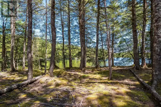87 Edith's Point Road South Brookfield, Nova Scotia in Houses for Sale in Bridgewater - Image 38