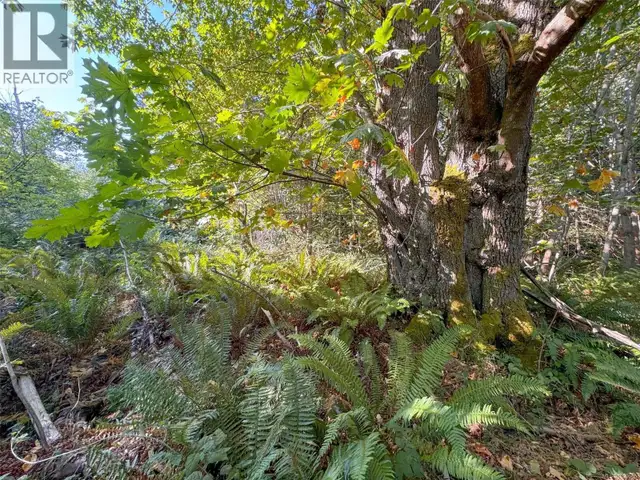 Lot 7 The Strand Gabriola Island, British Columbia in Land for Sale in Nanaimo - Image 6