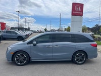 Come visit our London Honda team, you can find us at 560 Wharncliffe Rd S, London, ON, N6J 2N4, or c... (image 2)