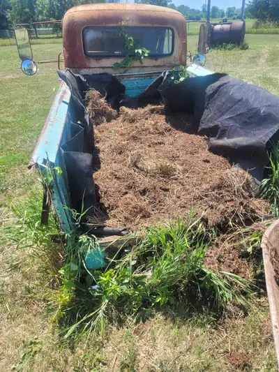 Garden planter yard art truck comes with composted manure/hay to fill it free with purchase of the t...