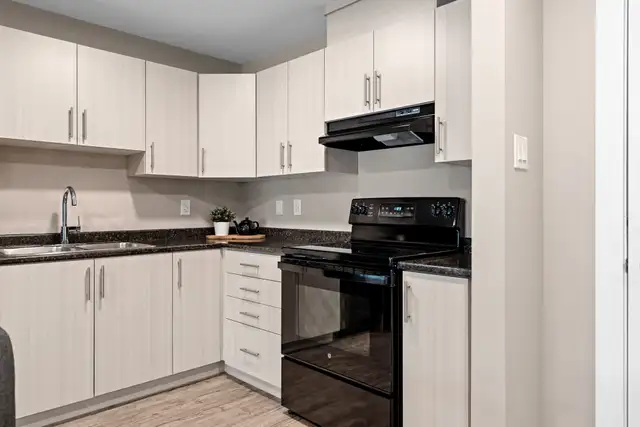 Pet-Friendly One Bedroom One Bath with In-suite Laundry for Rent in Long Term Rentals in Ottawa - Image 12