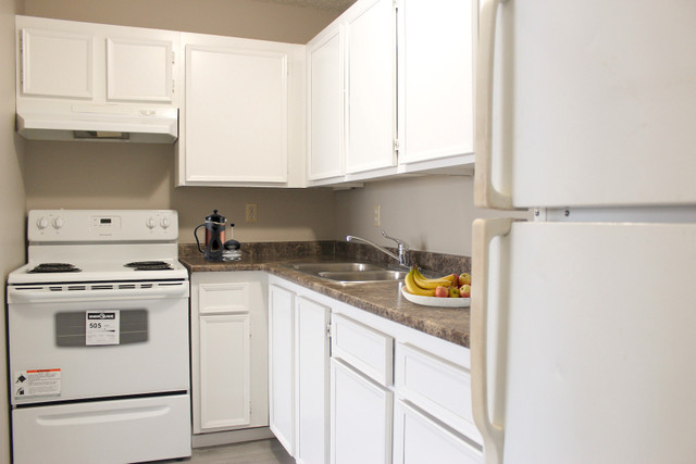 Mount Royal Apartment For Rent | Ryan Place in Long Term Rentals in Saskatoon - Image 3
