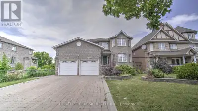 The Lowest price One bedroom for rent in the prime location in richmond hill, close to yonge St. (id...
