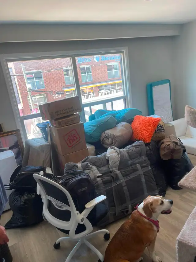 Professional Moving Services482653069253038084