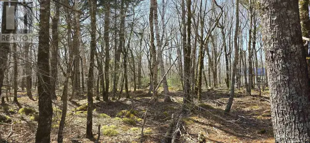69 Sparkling Spring Lane Labelle, Nova Scotia in Land for Sale in Bridgewater - Image 23