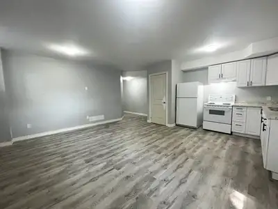 Gorgeous, Brand New 1 Bed, 1 Bath Basement Unit, Angus