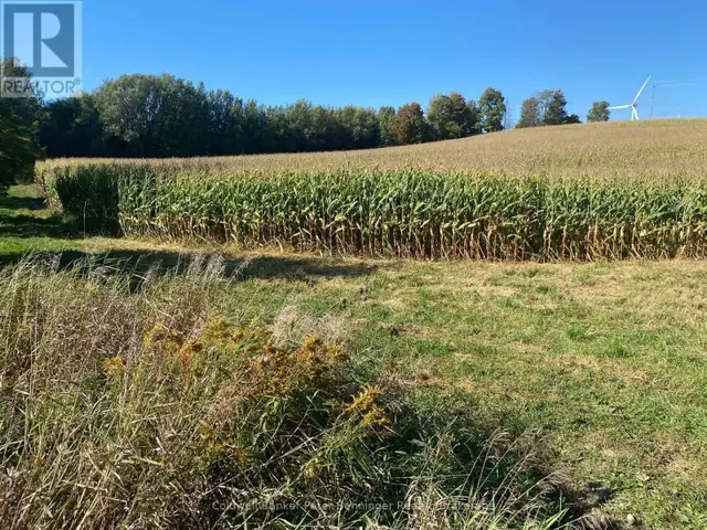 1315 CONCESSION 8 CONCESSION Kincardine, Ontario in Land for Sale in Owen Sound - Image 6