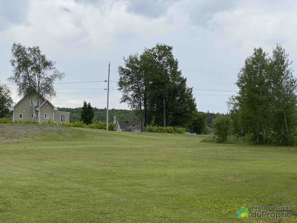 $67,500 - Price taxes not included - Residential Lot in St-Neree — photo 3