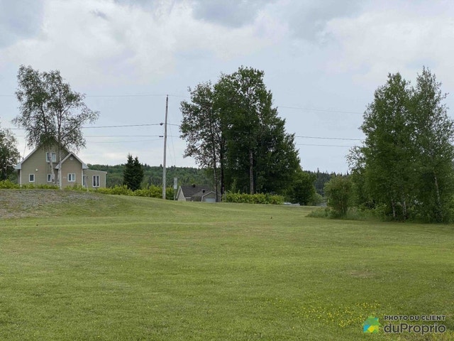 $67,500 - Price taxes not included - Residential Lot in St-Neree — photo 3
