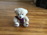 BRAND NEW TEDDY BEAR