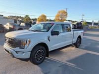 Recent Arrival! 2023 Ford F-150 10-Speed Automatic 3.5L V6 EcoBoost At our Ford dealership, we take... (image 3)
