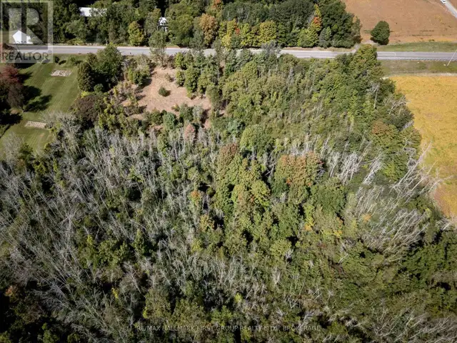 00 PALACE ROAD Greater Napanee (Greater Napanee), Ontario in Land for Sale in Napanee - Image 26