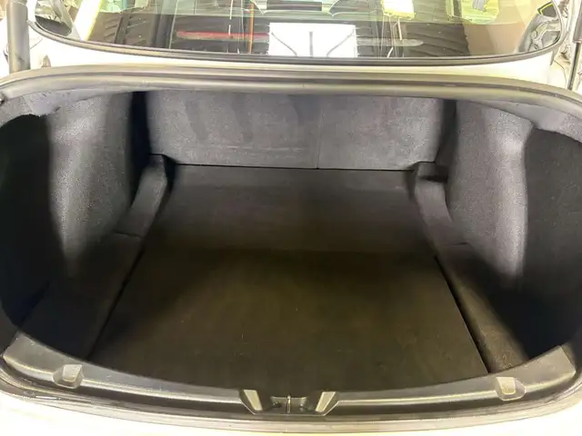 2021 Tesla Model 3 Standard Range Plus559731744535357443