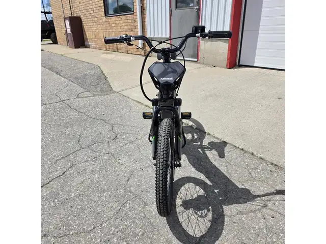 2025 Kawasaki Elektrode 20 in Dirt Bikes & Motocross in Brantford - Image 11