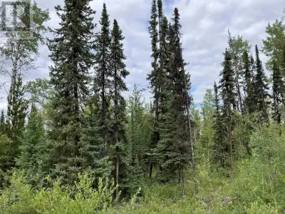 Check out this fantastic opportunity for a waterfront lot situated on Cluculz Creek. This lot is ove...