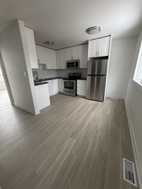 Renovated 3 Bedroom & 1 Bathroom Townhome! Chatham-Kent Ontario Preview